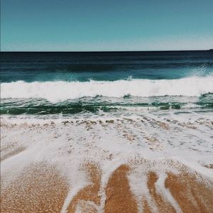 Meet your Posher, Sophia